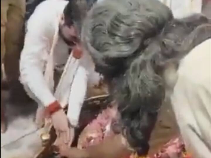 Samajwadi party react on viral video of up minister satish sharma washing hands near Shivalinga UP News: यूपी के मंत्री सतीश शर्मा ने शिवलिंग के पास धोया हाथ? सपा बोली- 'किसी और जाति के नेता..'