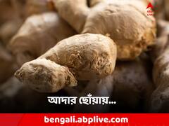 Ginger Water Benefits: ডায়াবেটিস এড়াতে অস্ত্র আদা? কীভাবে খেতে হবে?