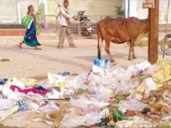 Ambikapur News: स्वच्छता में आगे रहने वाले अम्बिकापुर में नजर आने लगा कचरे का ढेर, निगम की लापरवाही से बिगड़े हालात Chhattisgarh People started piling garbage on roadside in Ambikapur due to negligence of Municipal council ANN Ambikapur News: स्वच्छता में आगे रहने वाले अम्बिकापुर में नजर आने लगा कचरे का ढेर, निगम की लापरवाही से बिगड़े हालात