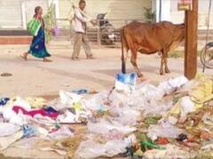 छत्तीसगढ़: स्वच्छता में आगे रहने वाले अम्बिकापुर में नजर आने लगा कचरे का ढेर, निगम की लापरवाही से बिगड़े हालात