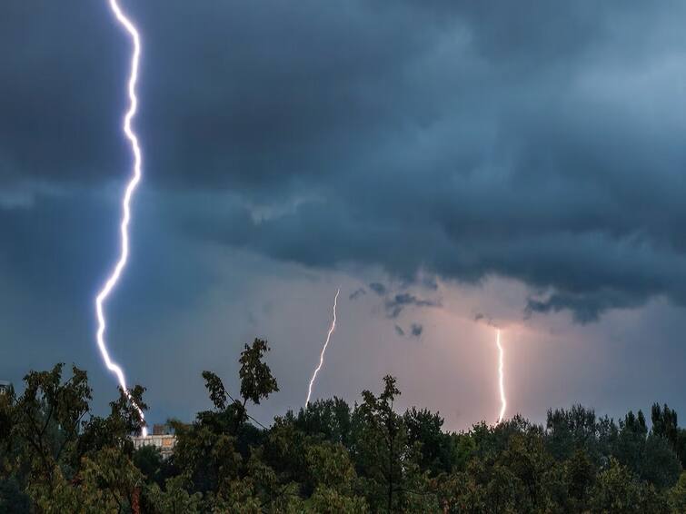 Odisha 61000 Lightning Strikes In 2 Hours 12 Killed Lightning Strikes: ఒడిశాలో అసాధారణ పరిస్థితి- 2 గంటల్లోనే 61 వేల పిడుగులు పడి 12 మంది మృతి