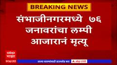 Chhatrapati Sambhaji Nagar: संभाजीनगरमध्ये जनावरांचा बाजार भरवण्यास बंदी