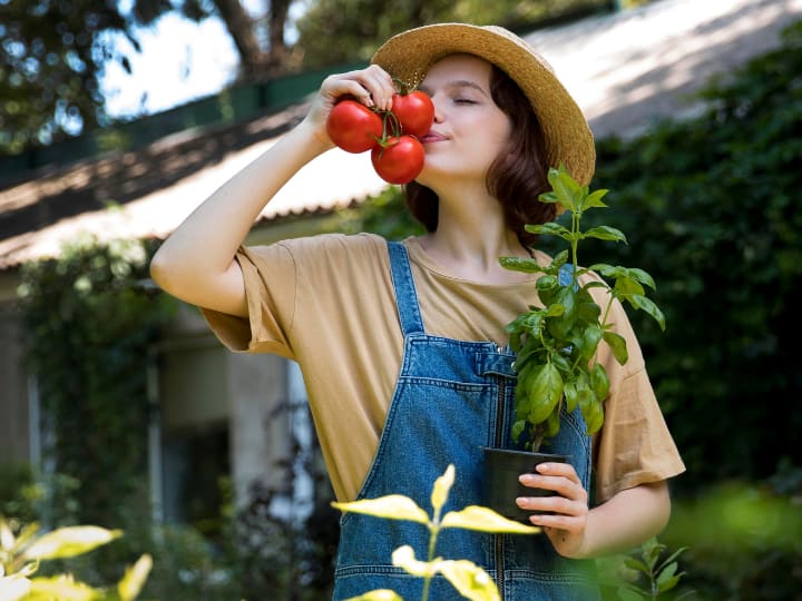 Home Vegetable Gardening Tips know easy ways to cultivate vegetables at house इन टिप्स से घर में सब्जियां उगाएं, आसपास हरियाली लाएं और पैसे भी बचाएं