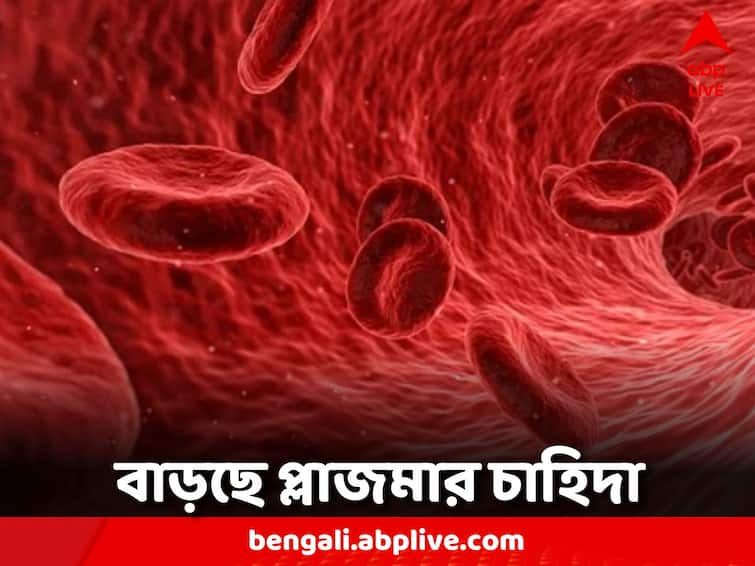 With the increase in the number of dengue patients, the demand for plasma is increasing WB Dengue: উদ্বেগ বাড়াচ্ছে ডেঙ্গি, সরকারি ব্লাড ব্যাঙ্কে অপ্রতুল প্লাজ়মা, শঙ্কায় রোগীর আত্মীয়রা