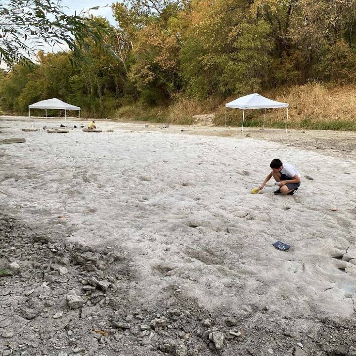 ਇਹ ਪੈਰਾਂ ਦੇ ਨਿਸ਼ਾਨ ਇੱਥੇ ਸਥਿਤ ਡਾਇਨਾਸੌਰ ਵੈਲੀ ਸਟੇਟ ਪਾਰਕ ਵਿੱਚ ਮਿਲੇ ਹਨ, ਜੋ ਕਿ 1100 ਮਿਲੀਅਨ ਸਾਲ ਪੁਰਾਣੇ ਦੱਸੇ ਜਾਂਦੇ ਹਨ। ਮਾਹਿਰ ਫਿਲਹਾਲ ਇਨ੍ਹਾਂ ਪੈਰਾਂ ਦੇ ਨਿਸ਼ਾਨਾਂ ਦੀ ਜਾਂਚ ਕਰ ਰਹੇ ਹਨ।