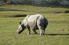 IRCTC Tour:  ईशान्य भारत फिरण्यासाठी आईआरसीटीसीची भन्नाट टूर, एवढा असेल खर्च