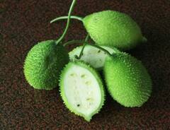 Kantola: સ્વાસ્થ્યનો ખજાનો છે આ લીલું શાક, માત્ર ચોમાસામાં જ મળે છે