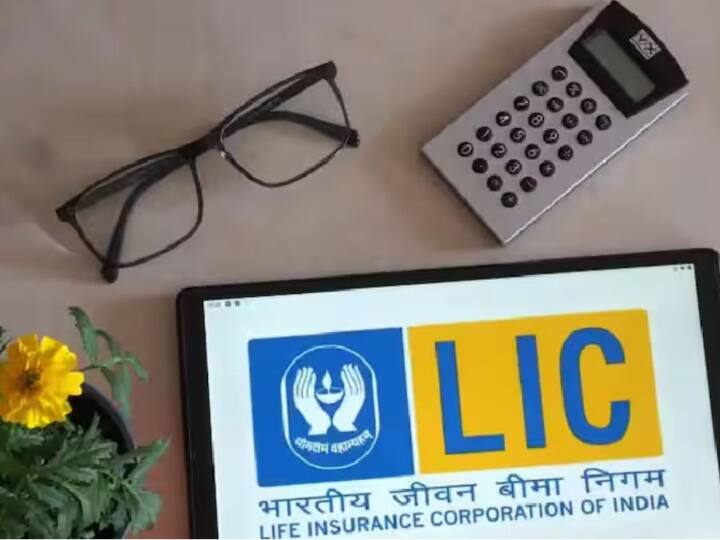 आप व्हाट्सऐप से 8976862090 नंबर पर 'Hi' टाइप करके एलआईसी के 11 विकल्पों का इस्तेमाल कर सकते हैं और इसका लाभ उठा सकते हैं.
