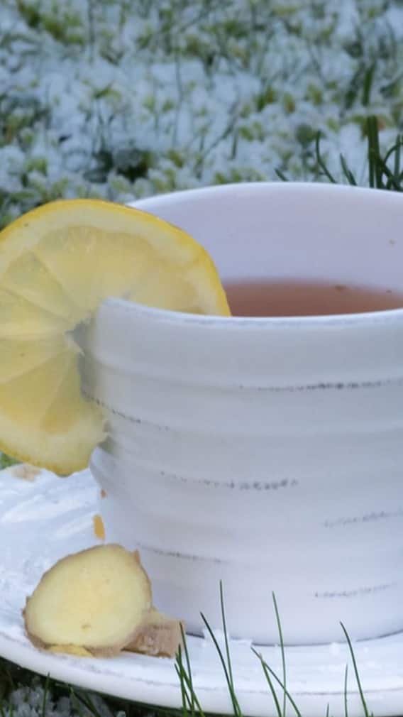 রোগমুক্তির পানীয় লেবু ও আদা দিয়ে তৈরি চা