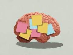 Health News : ਕੀ ਤੁਸੀਂ ਵੀ ਭੁੱਲ ਜਾਂਦੇ ਹੋ ਜਲਦੀ ਗੱਲ ਨੂੰ , ਦਿਨ- ਬ –ਦਿਨ ਘੱਟ ਹੁੰਦੀ ਜਾਂਦੀ ਯਾਦਦਾਸ਼ਤ