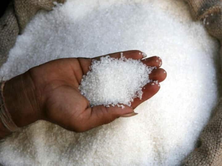 Sugar Price: The sweetness of sugar may turn bitter during the festive season! Lowest production in this state in 4 years મોંઘવારીનો વધુ એક આંચકો લાગશે! તહેવારોની સિઝનમાં ખાંડની મીઠાશ ખઈ શકે છે કડવી! આ રાજ્યમાં 4 વર્ષમાં સૌથી ઓછું ઉત્પાદન
