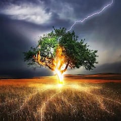 Lightning Strikes: মিনিটে ৫০০ বারের বেশি, ২ ঘণ্টায় নাগাড়ে বজ্রপাতে শিহরিত ওড়িশার বিস্তীর্ণ অংশের মানুষ