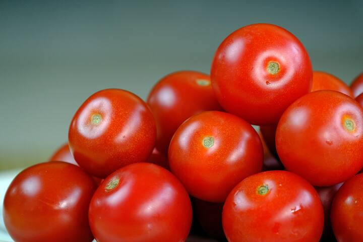 Cherry Tomato Benefits : चेरी टोमॅटो हे नेहमीच्या टोमॅटोपेक्षा किंचित लहान आणि चवीला गोड असतात.