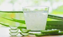 Aloe vera juice: એલોવેરા જ્યુસના આ છે શાનદાર ફાયદા, જાણીને તમે પણ આજથી જ પીવાનું કરી દેશો શરૂ