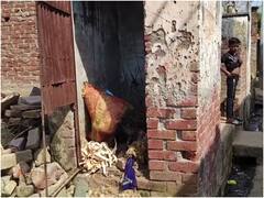 इटावा: सरकारी दस्तावेजों में पूरा हुआ काम, ओडीएफ हो चुके गांव में आज भी अधूरे पड़े कई शौचालय