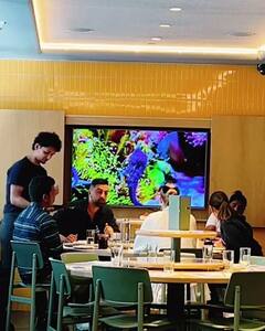 हॉट रेड लिपस्टिक लगाए रणबीर कपूर के साथ न्यूयॉर्क में स्पॉट हुईं आलिया भट्ट, करिश्मा कपूर भी आईं नज़र