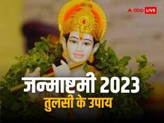 Janmashtami 2023: जन्माष्टमी पर करें तुलसी के ये उपाय, कान्हा की कृपा से खुल जाएंगे किस्मत के बंद पड़े सभी द्वार