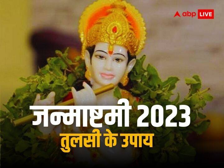 Janmashtami 2023: श्रीकृष्ण को तुलसी अतिप्रिय है. इसलिए उनकी पूजा में तुलसी जरूर चढ़ाई जाती है. जन्माष्टमी पर भगवान को तुलसी चढ़ाने के साथ ही आप इन उपायों को जरूर करें. इससे कष्टों से मुक्ति मिलती है.