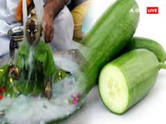 Janmashtami 2023: श्रीकृष्ण जन्माष्टमी की पूजा में खीरा का क्या है महत्व, जानें इससे जुड़ी विशेष बातें