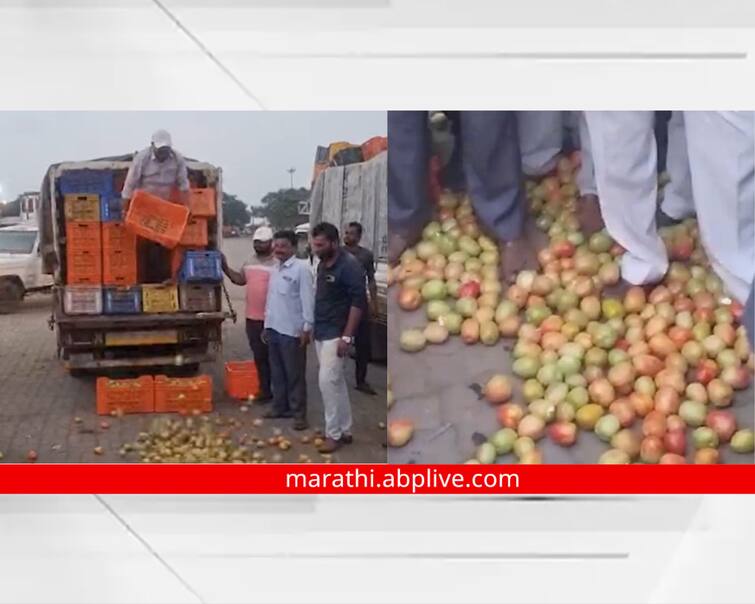 Nashik Latest News Farmers of Nashik district threw tomatoes on streets due to fall in tomato prices Maharashtra News Nashik : आधी टोमॅटो 200 रुपये किलो, आज शंभर ते दीडशे रुपये प्रतिकॅरेट, संतप्त शेतकऱ्यांनी भररस्त्यात फेकले टोमॅटो 