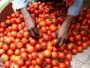 Tomato Price: భారీగా పడిపోయిన టమాటా ధర, కిలో రూ. 8 మాత్రమే- ఎక్కడంటే?