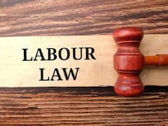 नौकरी करने वालों को होगा बड़ा फायदा, इससे ज्यादा बची छुट्टी तो बदले में मिलेगा एक्स्ट्रा पेमेंट!