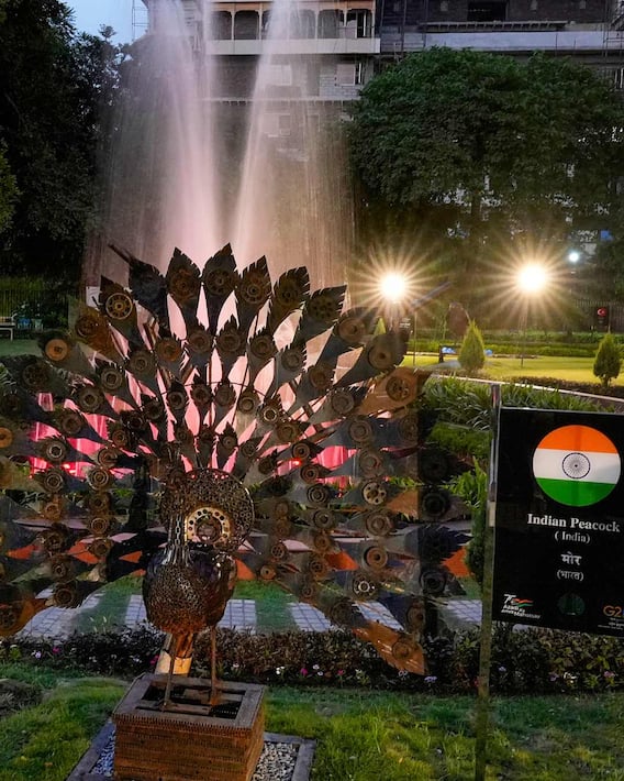 G20-Themed Waste-To-Art Park Opens In Delhi