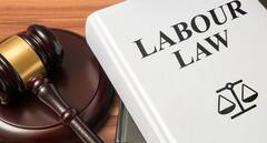 New Labour Laws: ਨੌਕਰੀ ਕਰਨ ਵਾਲਿਆਂ ਨੂੰ ਹੋਵੇਗਾ ਵੱਡਾ ਫ਼ਾਇਦਾ, ਇਸ ਤੋਂ ਜ਼ਿਆਦਾ ਬਚੀਆਂ ਛੁੱਟੀਆਂ ਤਾਂ ਬਦਲੇ 'ਚ ਮਿਲੇਗੀ Extra Payment!