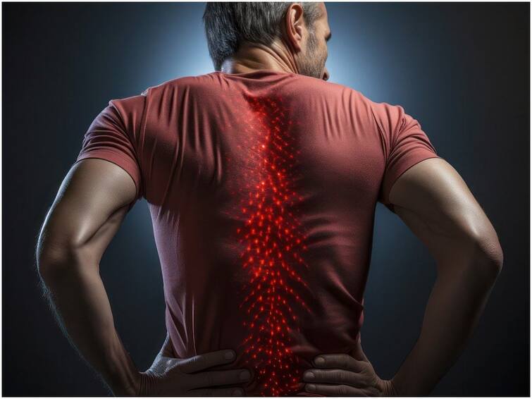 This Foods Get Relief From Back Pain Backpain: వెన్నునొప్పి వేధిస్తుందా? ఈ ఆహారాలతో చెక్ చెప్పేయండి