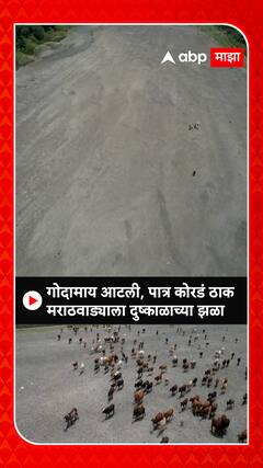 Parbhani Godawari : गोदावरी नदी कोरडी ठाक, मराठवाड्यात दुष्काळाच्या झळा तीव्र होण्याची चिन्ह