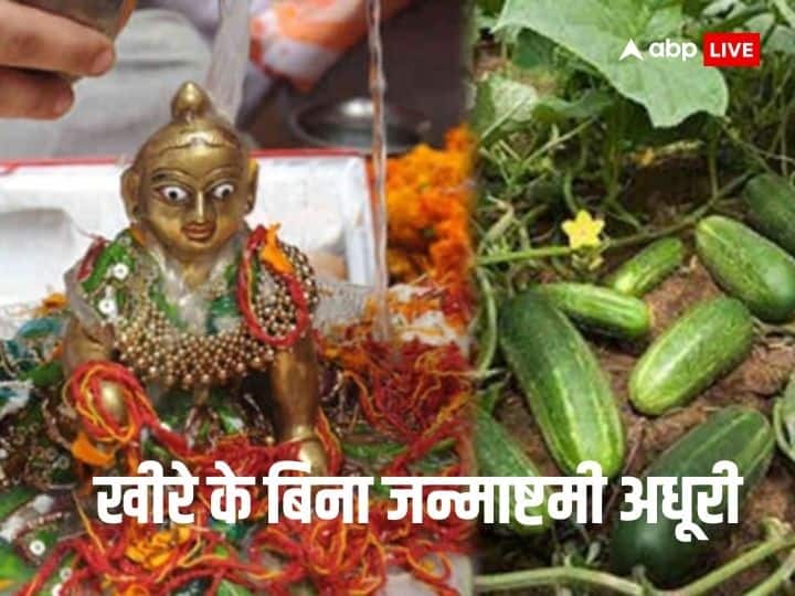 Janmashtami 2023 cucumber must be included in Krishna Janmashtami poojan Bal gopal pooja Janmashtami 2023: इस चीज को जरुर करें जन्माष्टमी की पूजा में शामिल, बिना इसके अधूरी होती है जन्माष्टमी
