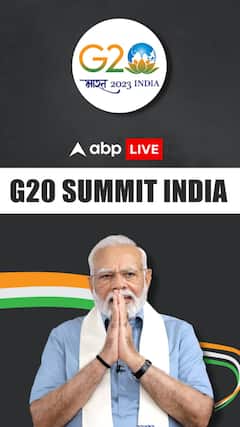 What Is G20?