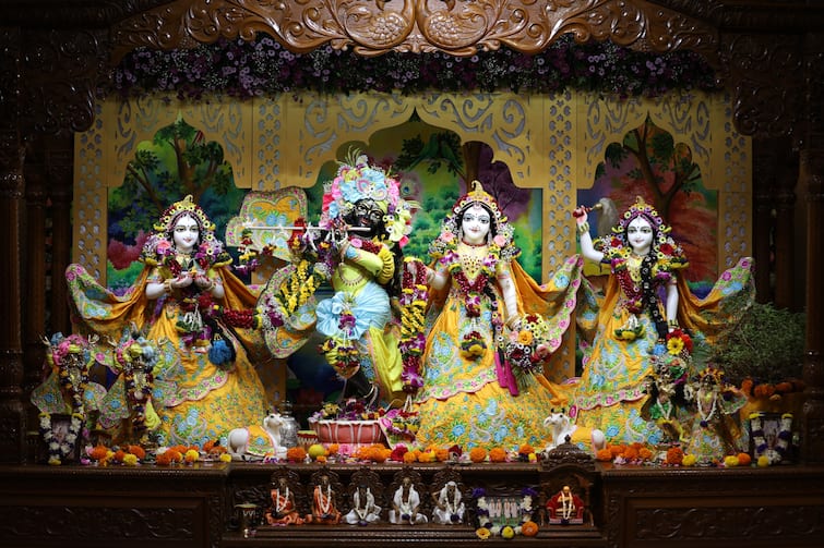 Nashik Latest News Janmashtami celebration in Nashik's ISKCON temple, 12 hours of kirtan, 30 thousand laddus distribution ISCON Temple : नाशिकच्या इस्कॉन मंदिरात जन्माष्टमी सोहळा, 12 तास कीर्तन, 30 हजार लाडू, बर्फीचं वाटप, भरगच्च कार्यक्रम 