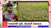 Palghar Drought : पावसाची दडी, शेतकरी संकटात; भात उत्पादक शेतकरी चिंतेत