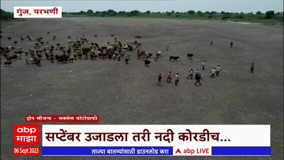 Godavari River : गोदावरीचं पात्र कोरडं, पाण्यासाठी मुक्या जनावरांची वणवण : ABP Majha