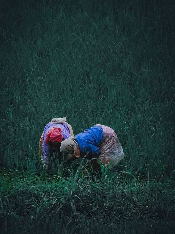 इस महीने जारी होगी पीएम किसान सम्मान निधि की 15वीं किस्त