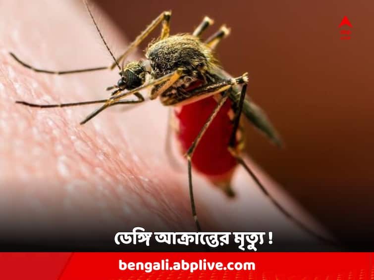 Hooghly News : 21 Years old young man died of Dengue at Chandannagar Dengue: মাত্র ২১ বছরেই থেমে গেল জীবন ! ডেঙ্গিতে যুবকের মৃত্যু চন্দননগরে