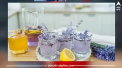 Lavender Oil Benefits: ਤਣਾਅ ਤੋਂ ਰਾਹਤ ਅਤੇ ਸੁੰਦਰਤਾ ਲਈ ਫਾਇਦੇਮੰਦ ਇਹ ਤੇਲ, ਜਾਣੋ ਇਸ ਤੇਲ ਦੇ ਹੋਰ ਵੀ ਕਈ ਫਾਇਦੇ
