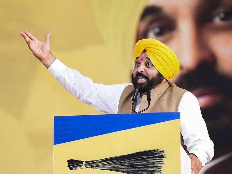 Punjab CM Bhagwant Mann Rejects Congress Alliance Speculations for 2024 Lok Sabha Elections AAP to Go Solo We Know How To Win Solo And Run Govt: Punjab CM Mann After AAP Refuses To Share Seats With Congress In State