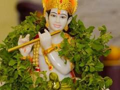 Janmashtami 2023 : श्रीकृष्णाला तुळशी अत्यंत प्रिय! जन्माष्टमीला करा तुळशीचे 'हे' उपाय, मिळवा आशीर्वाद