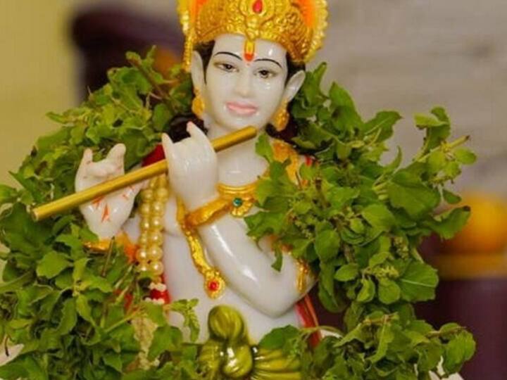 Janmashtami 2023 : जन्माष्टमीला करा तुळशीचे हे उपाय, श्रीकृष्णाच्या कृपेने उघडतील नशिबाचे सर्व बंद दरवाजे, जाणून घ्या