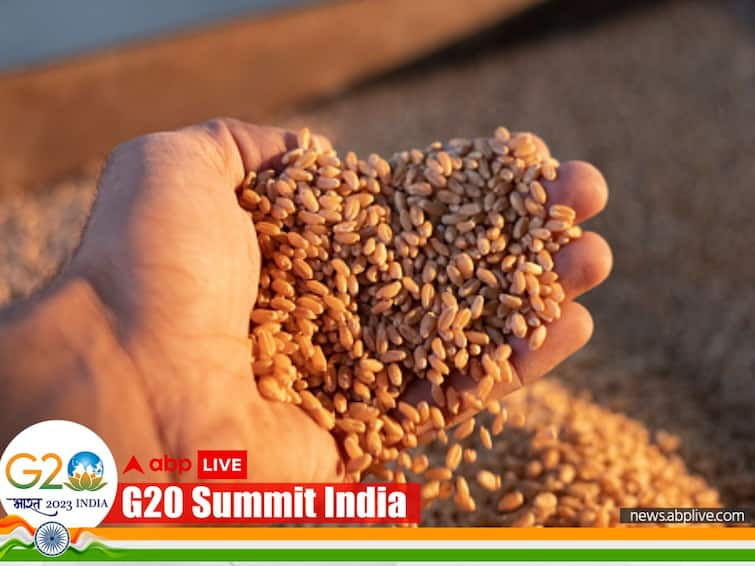 India’s G20 Presidency Highlights Food Safety Net Programmes, Says Agriculture Ministry