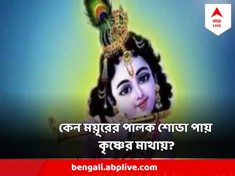 Janmashtami 2023 Why Sri Krishna Wears Feather Of Peacock on his head, know the stories behind Janmashtami 2023 : শ্রীকৃষ্ণের মাথায় কেন সর্বদা শোভা পায় ময়ূরের পালক?