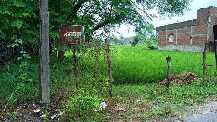 Gondia News electrocution death through farm fence is negligence says Nagpur bench Gondia farmer acquitted of culpable homicide Gondia News : शेत कुंपणातून विद्युत करंटने मृत्यू हा निष्काळजीपणा, गोंदियातील शेतकऱ्याची सदोष मनुष्यवधाच्या गुन्ह्यातून मुक्तता