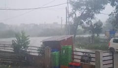 Gujarat Monsoon: અરવલ્લી, વડોદરામાં લાંબા વિરામ બાદ વરસાદનું આગમન, ખેડૂતોમાં ખુશીનો માહોલ