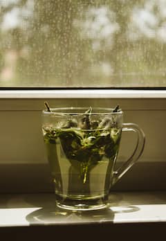 Green Tea: மக்களே..ஏராளமான நன்மைகள் நிறைந்த கிரீன் டீ-யை எப்போது குடிக்க வேண்டும்? இதைப் படிங்க!