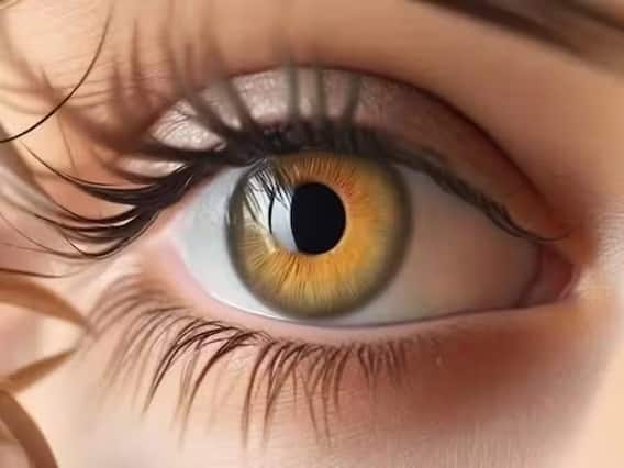 Health Tips : कॉर्नियातील दोषामुळे अंधत्व येण्याचाही वाढता धोका; 'ही' आहेत लक्षणं, काळजी घ्या Health Tips : कॉर्नियातील दोषामुळे अंधत्व येण्याचाही वाढता धोका; 'ही' आहेत लक्षणं, काळजी घ्या