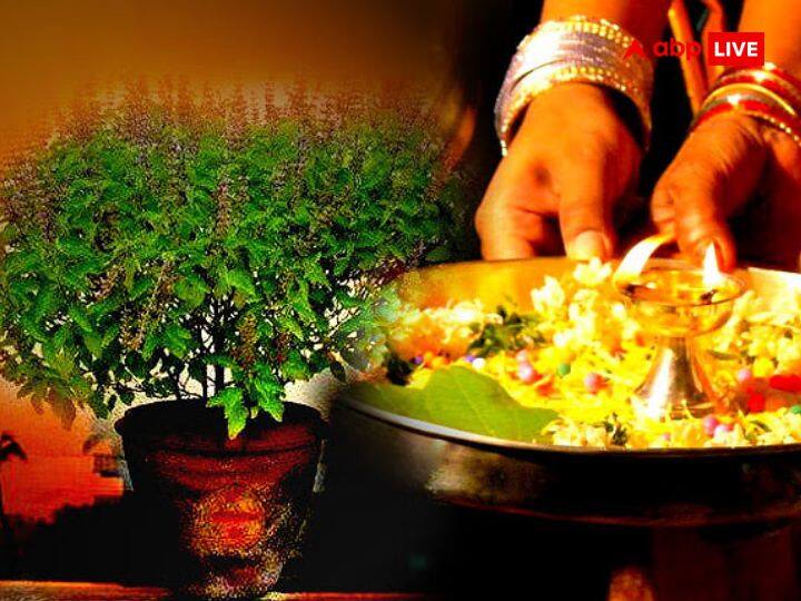 जन्माष्टमी के दिन तुलसी पूजन भी किया जाता है. लेकिन इस बात का विशेष ध्यान रखें कि, संध्या में तुलसी को स्पर्श नहीं करना चाहिए. ऐसा करने से मां लक्ष्मी रुष्ट हो जाती है. क्योंकि तुलसी में मां लक्ष्मी का वास होता है और सूर्योदय के बाद तुलसी को स्पर्श करना वर्जित होता है.