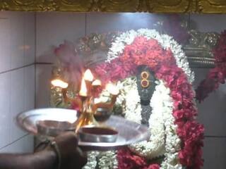ஆவணி மாத கார்த்திகை பூஜை: ஸ்ரீ கற்பக விநாயகர் ஆலய அழகர் பாலசுப்பிரமணிக்கு சிறப்பு அபிஷேகம்