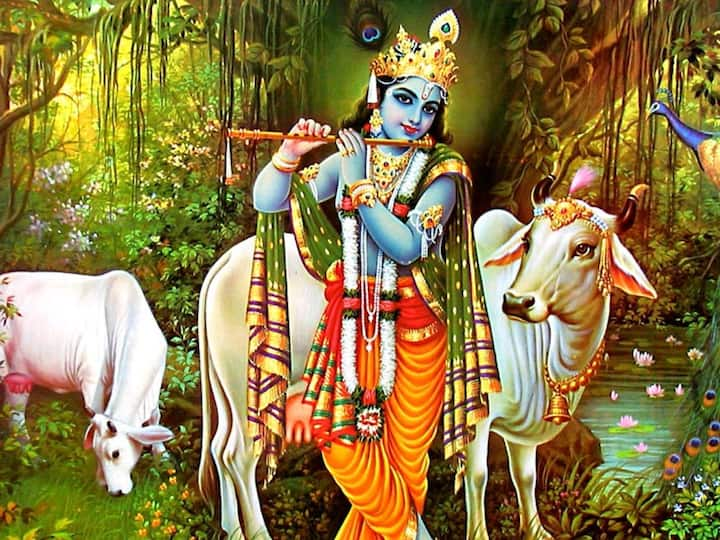 6 सप्टेंबर 2023 रोजी जन्माष्टमीचा (Janmashtami 2023) सण साजरा होत आहे. खोडकर बाळकृष्णाने जन्मत:च आपल्या लीला दाखवण्यास सुरुवात केली, त्यांच्या या लीला पाहून सर्वजण आश्चर्यचकित झाले.